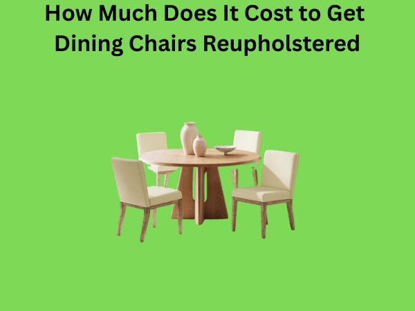 How Much Does It Cost to Get Dining Chairs Reupholstered