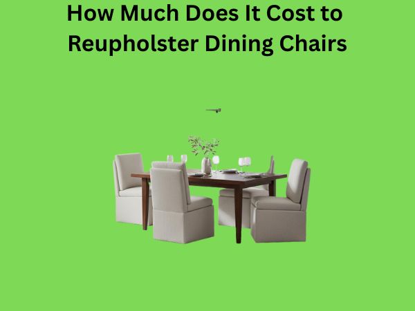 How Much Does It Cost to Reupholster Dining Chairs